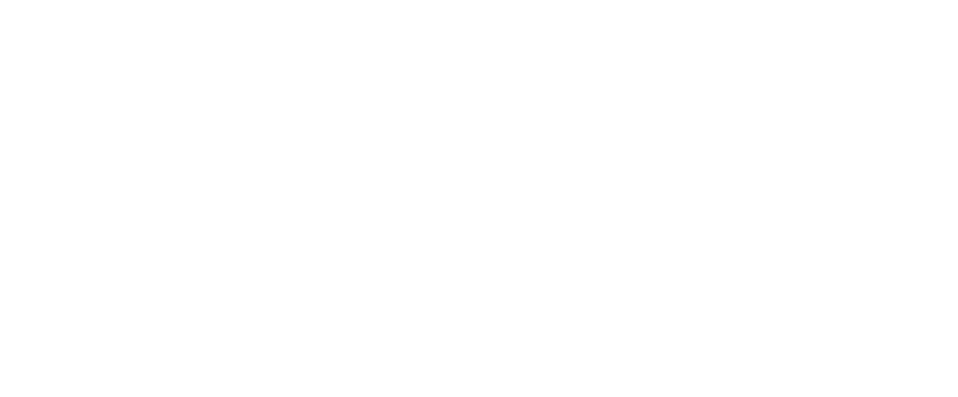 Pavewise logo white